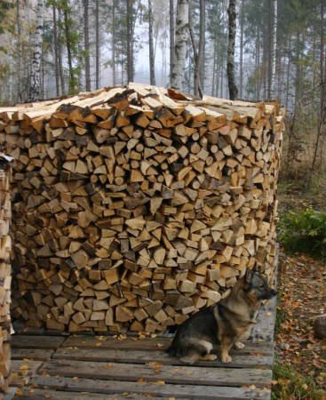 Wood stack 2