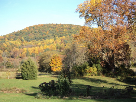 Shenandoah National Park