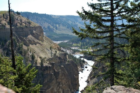 Yellowstone