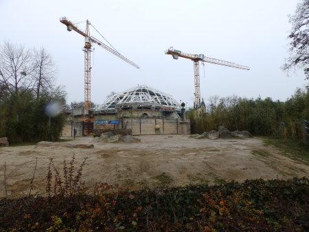 Elephant barn undergoing renovation