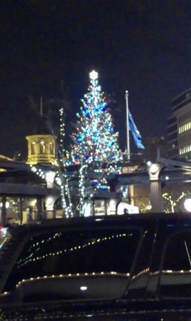 Christmas Tree Lighting 2013