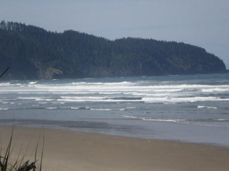 Patricia Seiders' album, 2011 Oregon coast
