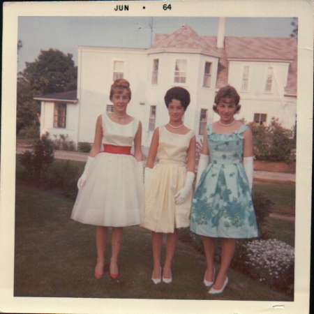 Judith Shea's album, Class of 64