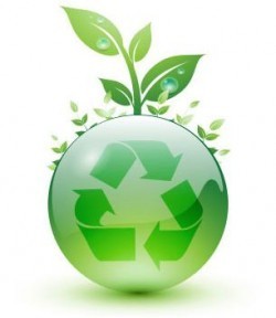 Green Economy's Classmates® Profile Photo