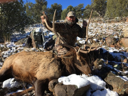 2016 bull elk, unit 5b