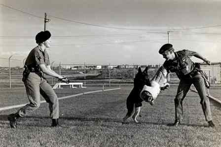 1977 Lowry AFB Denver, CO