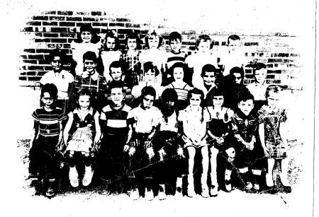 Willcox Elementary School 1st Grade Class 1951