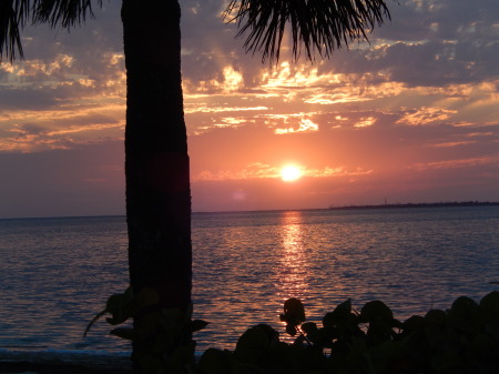 Sunset at Tarpon Springs.