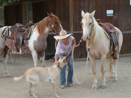 (BACK: CHIPOTLE AND ROY (MID: ANNE (FRONT:BUCK