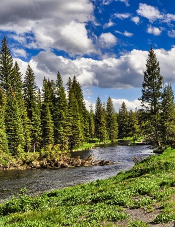 Yellowstone River 2019