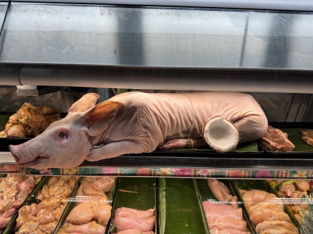 Suckling pig at Central Market 