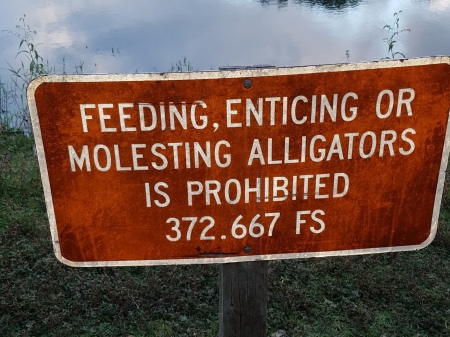 Who molests Alligators???