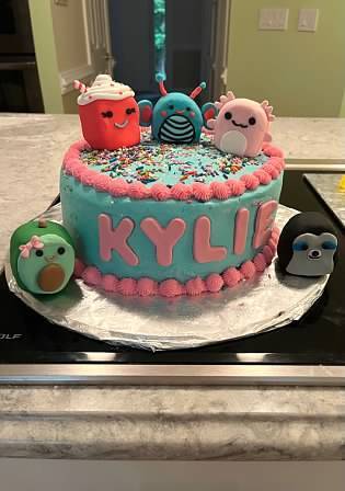 Kylie's squishmallow cake I made
