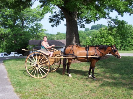 At home on our Clear Creek Farm