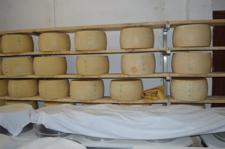 Aging Parmigiano Reggiano Wheels, Parma, Italy