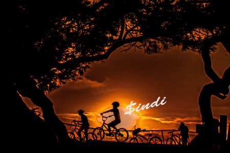 Bicycles at sundown