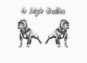 Gstyle Bullies's Classmates® Profile Photo