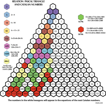 The triangle of numbers