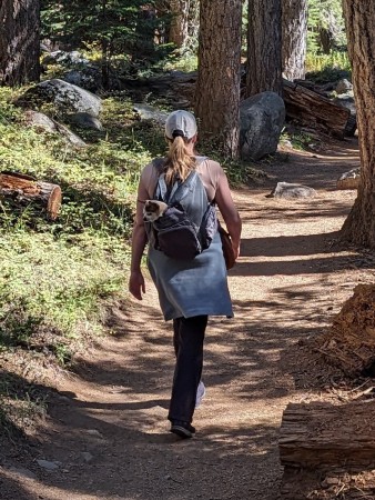 Hiking in Sequoia, October 2024