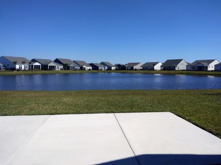 Pond in backyard 