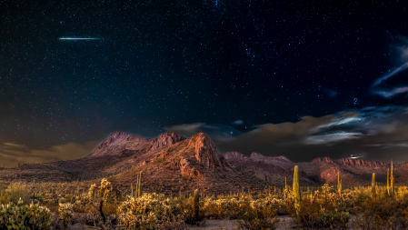 Saguaro National Park West, Marana, AZ