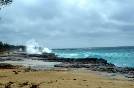 Weston Wishart's album, Key West & Bahamas