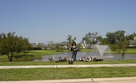 Feeding the neighbors