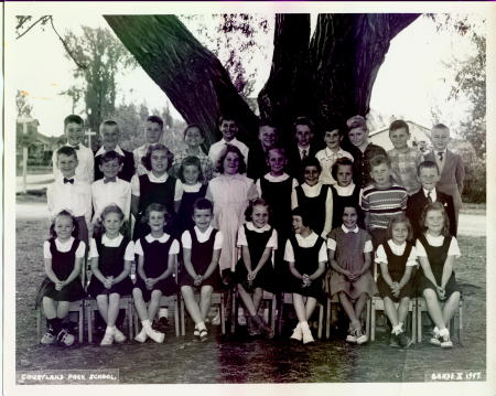 Hugh Williamson's album, Courtland Park Elementary School