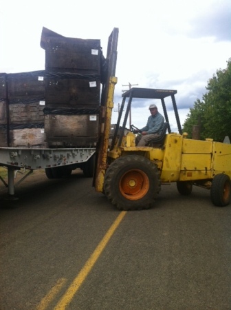 Playing farmer with forklift