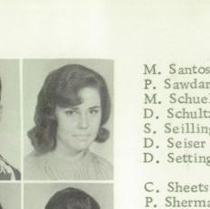 Diane Panetta's Classmates profile album