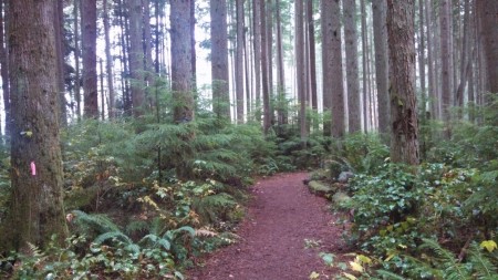 Redmond Watershed Trail