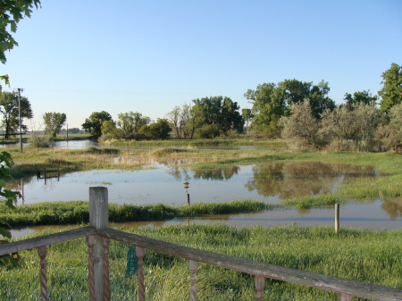 Milk River Flooding out our back door.