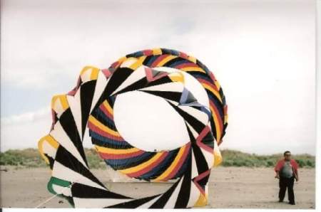 A day at the beach, flying kites