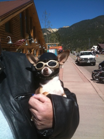 New Mexico Tiny Biker Babe !!