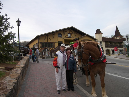 Helen Ga ..Alpine in the mountains