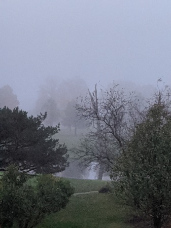 Fog engulfing course