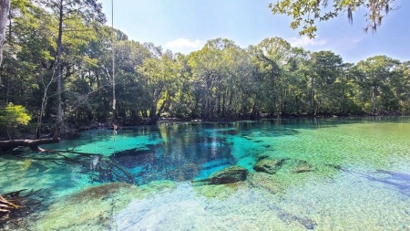 Florida Fresh Water Springs