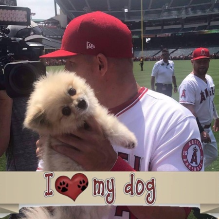 Baby with Mike Trout