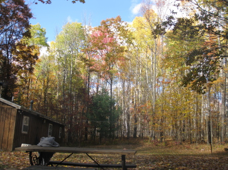 Fall colors in North East Michigan