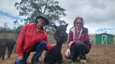 Visiting the Alpaca Farm