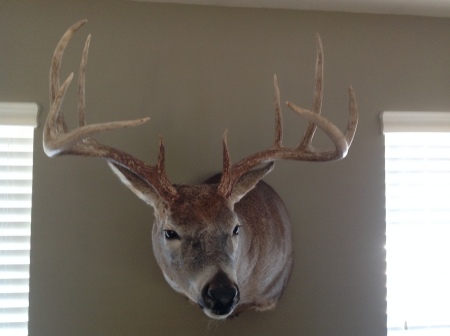 Missouri Buck 2013 -