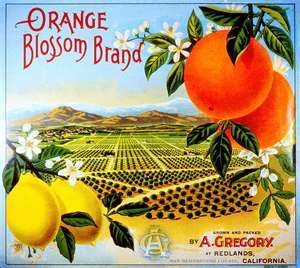 Grandfather's "Orange Blossom Brand"