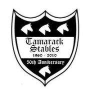 Timmy Tamarack Stables's Classmates® Profile Photo