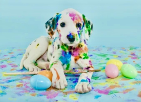 Easter Dog Artist