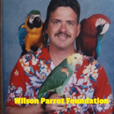 Brian Wilson's Classmates profile album