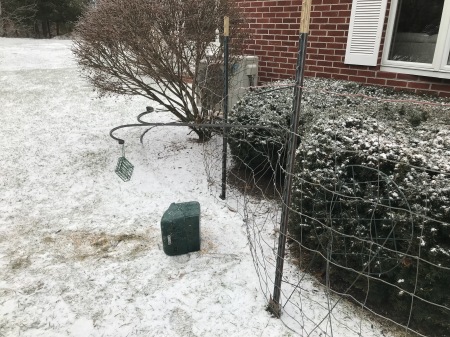 Bear attacked our bird feeder