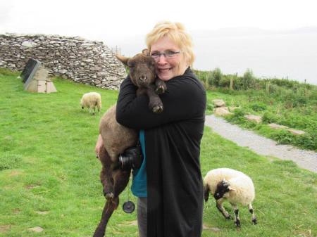 Little Lamb Love in Ireland