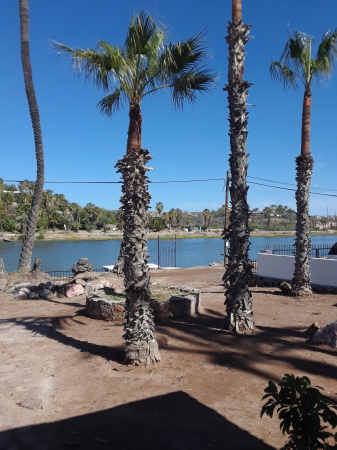 Estuary that runs in front of the Baja house