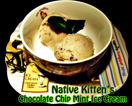 Raw Chocolate Chip Mint Ice Cream