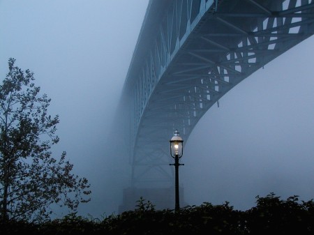 fog bridge